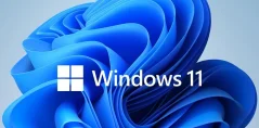 Microsoft Windows 11 Pro CZ (OEM) DVD