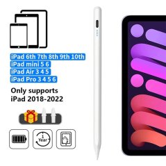 iPad Pencil Pen pro Apple iPad 2022 2021 2020 2019 2018 Pro / Air / Mini.